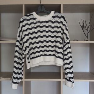 H&M cropped sweater
